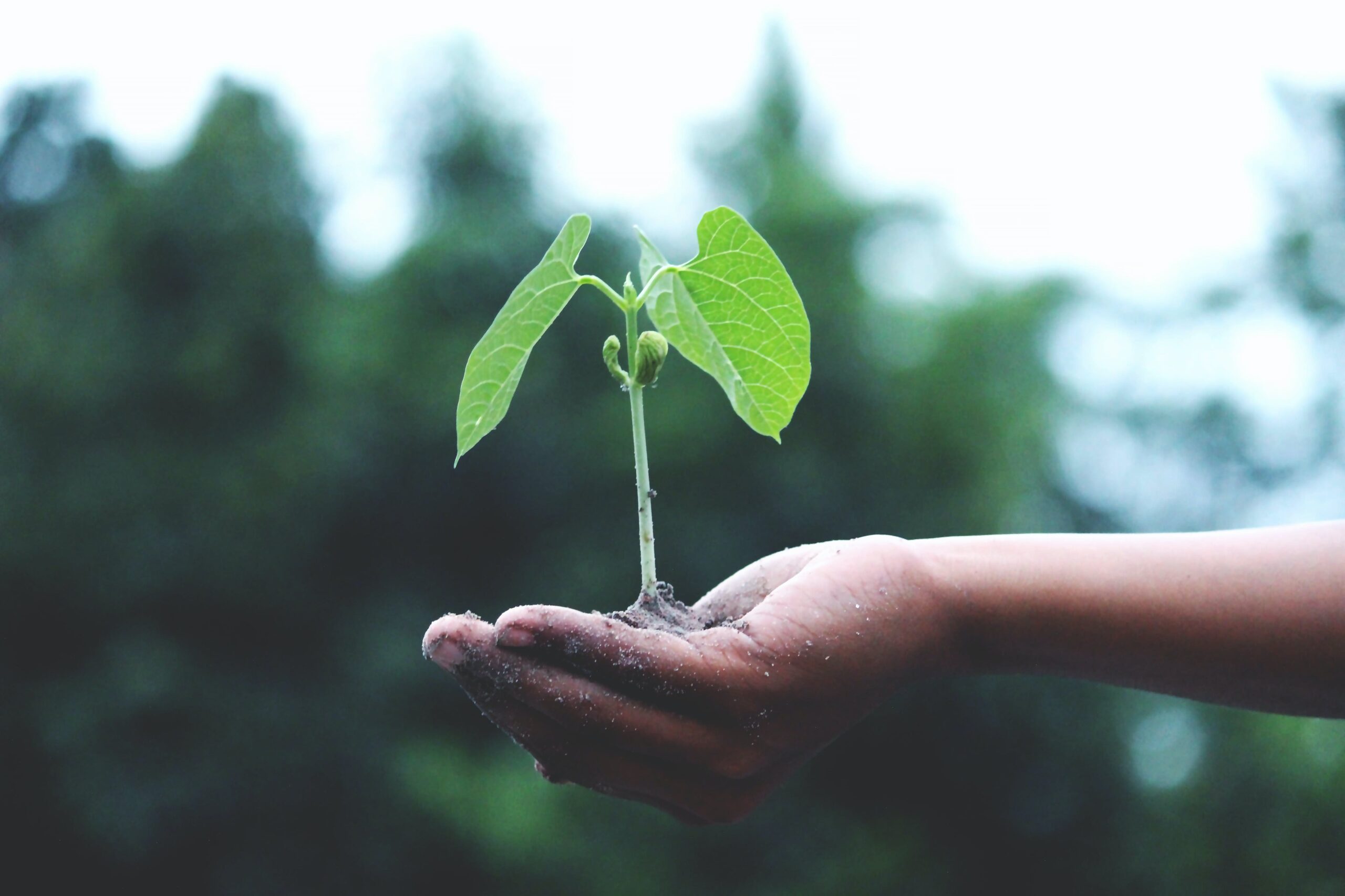 Tendances Event : les événements RSE